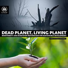 Dead planet, living planet. Biodiversity and ecosystem restoration for sustainable development. A rapid response assessment.