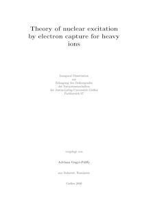 Theory of nuclear excitation by electron capture for heavy ions [Elektronische Ressource] / vorgelegt von Adriana Gagyi-Pálffy