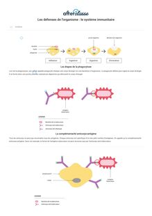 Les défenses de l'organisme : le système immunitaire