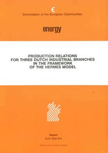 Production relations for three dutch industrial branches in the framework of the HERMES model