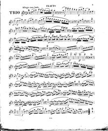 Partition flûte, flûte quintette en D major, Op.66, D major, Kummer, Kaspar par Kaspar Kummer