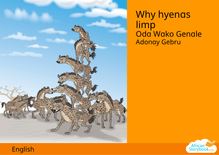 Why hyenas limp