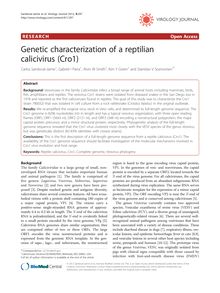 Genetic characterization of a reptilian calicivirus (Cro1)