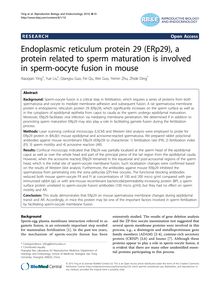 Endoplasmic reticulum protein 29 (ERp29), a protein related to sperm maturation is involved in sperm-oocyte fusion in mouse