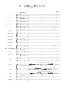 Partition I, Allegro maestoso, Symphony No.1 en E minor Angry Birds