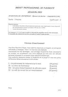 Bp fleuriste gestion comptabilite 2003