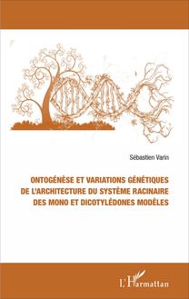 Ontogénèse et variations génétiques de l architecture du système racinaire des mono et dicotylédones modèles