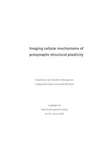 Imaging cellular mechanisms of presynaptic structural plasticity [Elektronische Ressource] / vorgelegt von Imke Droste genannt Helling