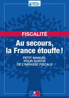 Fiscalité : Au secours la France étouffe ! Petit manuel pour sortir de l impasse fiscale