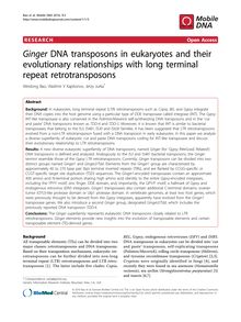 GingerDNA transposons in eukaryotes and their evolutionary relationships with long terminal repeat retrotransposons