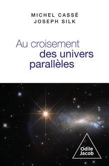 Au croisement des univers parallèles : Cosmologie et métacosmologie