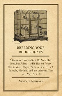 Breeding Your Budgerigars - A Guide of How to Start Up Your Own Breeding Aviary