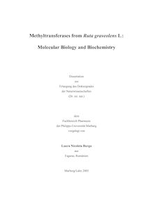 Methyltransferases from Ruta graveolens L. [Elektronische Ressource] : molecular biology and biochemistry / vorgelegt von Laura Nicoleta Burga