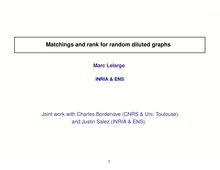 Matchings and rank for random diluted graphs