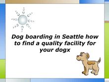 Dog boarding in Seattle how to find a quality facility for your dog