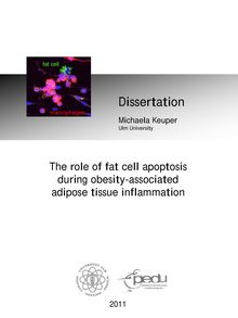 The role of fat cell apoptosis during obesity-associated adipose tissue inflammation [Elektronische Ressource] / Michaela Keuper