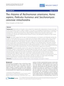 The rhizome of Reclinomonas americana, Homo sapiens, Pediculus humanusand Saccharomyces cerevisiaemitochondria