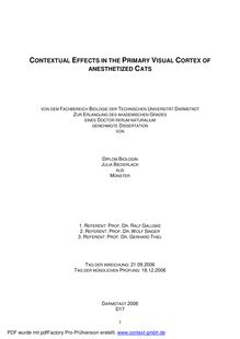 Contextual effects in the primary visual cortex of anesthetized cats [Elektronische Ressource] / von Julia Biederlack