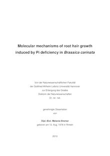 Molecular mechanisms of root hair growth induced by Pi deficiency in Brassica carinata [Elektronische Ressource] / Melanie Bremer
