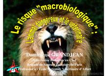 Risque Macrobiologique: l'animal dangereux et le vétérinaire