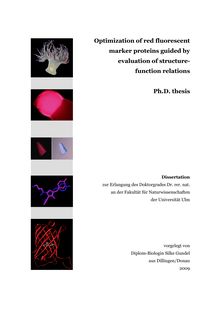 Optimization of red fluorescent marker proteins guided by evaluation of structure function relations [Elektronische Ressource] / vorgelegt von Silke Gundel