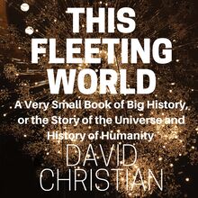 This Fleeting World: A Very Small Book of Big History: The Story of the Universe and History of Humanity
