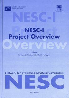 NESC-I Project Overview. Final Report