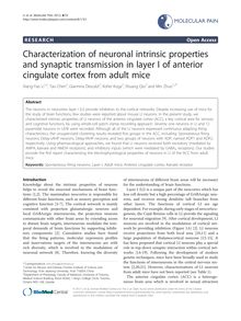 Characterization of neuronal intrinsic properties and synaptic transmission in layer I of anterior cingulate cortex from adult mice