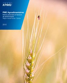 PME Agroalimentaires : Ratios sectoriels et facteurs de performance 