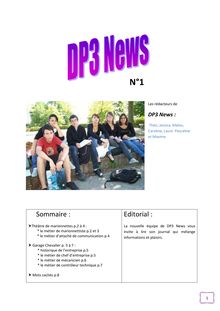DP3 news n-1