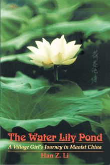 The Water Lily Pond