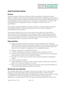audit-committee-charter-approved-02-03-10