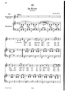 Partition complète, transposition pour low voix, Im Haine, D.738 (Op.56 No.3)