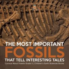 The Most Important Fossils That Tell Interesting Tales | Curious About Fossils Grade 5 | Children s Earth Sciences Books
