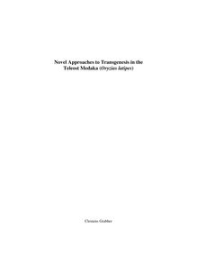 Novel approaches to transgenesis in the teleost medaka (Oryzias latipes) [Elektronische Ressource] / vorgelegt von Clemens Grabher