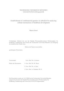 Establishment of combinatorial genetics in zebrafish for analyzing cellular mechanisms of hindbrain development [Elektronische Ressource] / Martin Distel