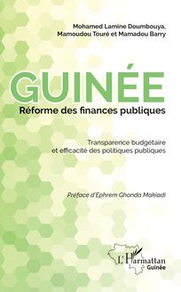 Guinée réforme des finances publiques