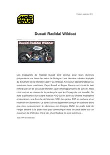 Ducati Radidal Wildcat