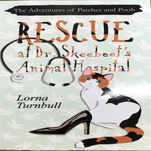 The Adventures of Patches and Pooh: Rescue at Dr. Skeebeet s Animal Hospital