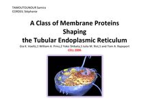 A Class of Membrane Proteins Shaping