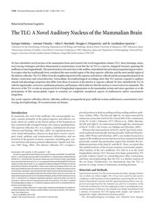 The TLC: A Novel Auditory Nucleus of the Mammalian Brain