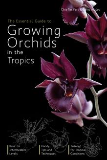 Essential Guide to Growing Orchids