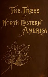 The trees of northeastern America