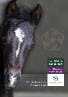 Etude menée par le Conseil des chevaux de Basse-Normandie en 2010 et 2011.
