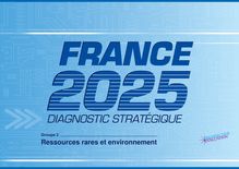 France 2025. Diagnostic stratégique : : B - Groupe 2 - Ressources rares et environnement.