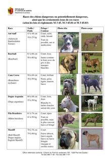 Races des chiens dangereux ou potentiellement dangereux, ainsi  que ...