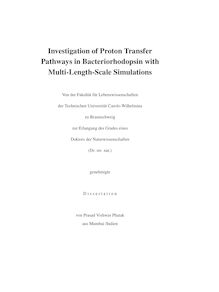 Investigation of proton transfer pathways in bacteriorhodopsin with multi-length-scale simulations [Elektronische Ressource] / von Prasad Vishwas Phatak
