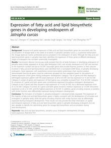 Expression of fatty acid and lipid biosynthetic genes in developing endosperm of Jatropha curcas