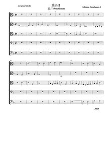 Partition , Tribulationem - original keyComplete score (T T T B B), Motets