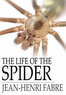 Life of the Spider